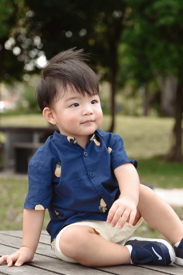 Pineapple Embroidered Shirt (Kids)